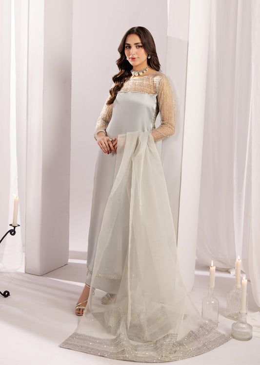 SILVER GREY SILK SUIT ALS20