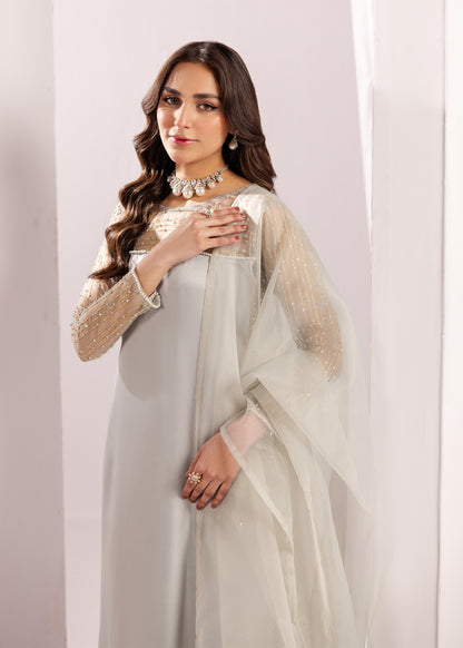 SILVER GREY SILK SUIT ALS20