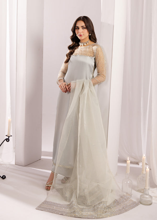 SILVER GREY SILK SUIT ALS20