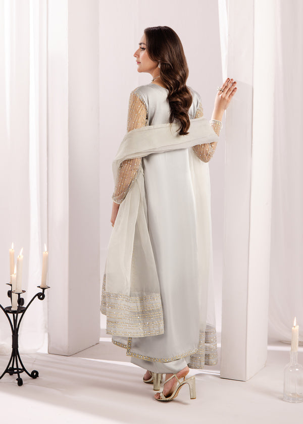 SILVER GREY SILK SUIT ALS20
