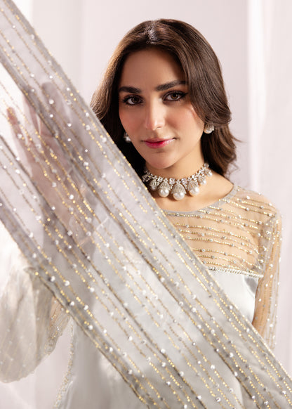 SILVER GREY SILK SUIT ALS20