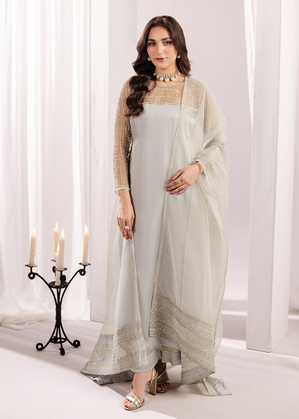 SILVER GREY SILK SUIT ALS20