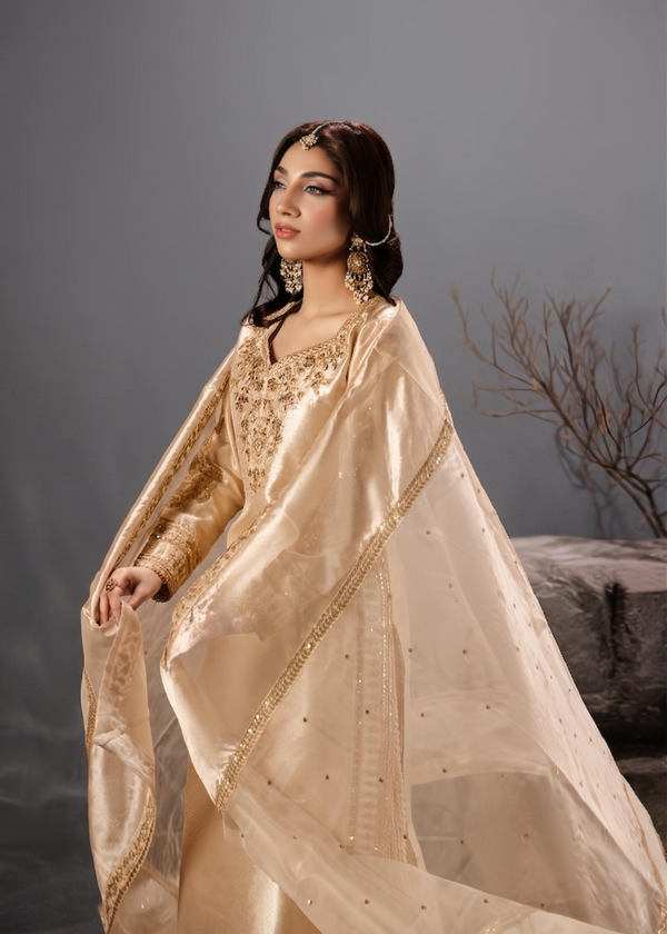 CHAMPAGNE TISSUE SUIT ALS410-B1