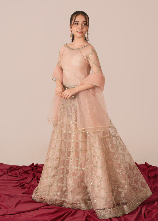 Tea pink lehanga ALT409