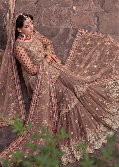Coffee Gharara ALS C9854-G
