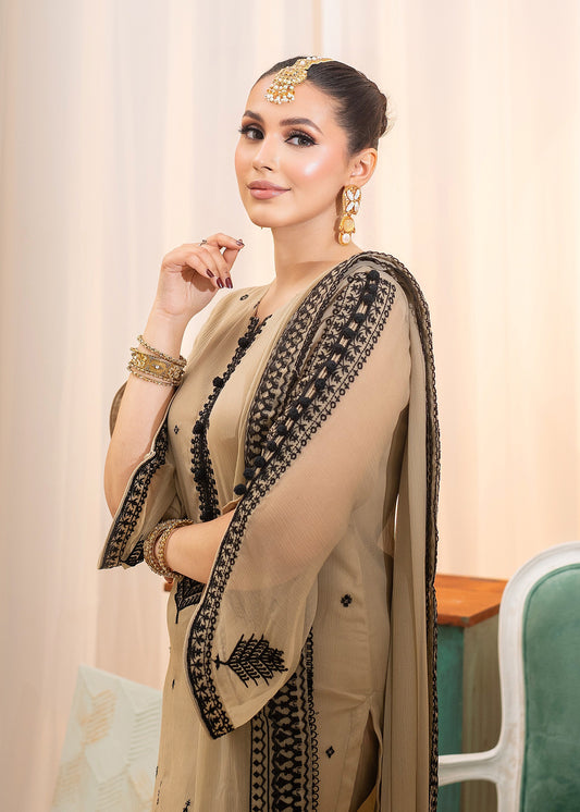 BEIGE LADIES SUIT ALL302