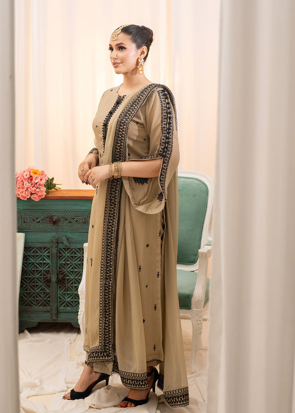 BEIGE LADIES SUIT ALL302