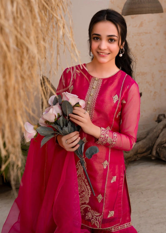 PINK GHARARA SET ALT009